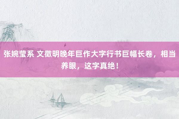 张婉莹系 文徵明晚年巨作大字行书巨幅长卷,相当养眼,这字真绝!