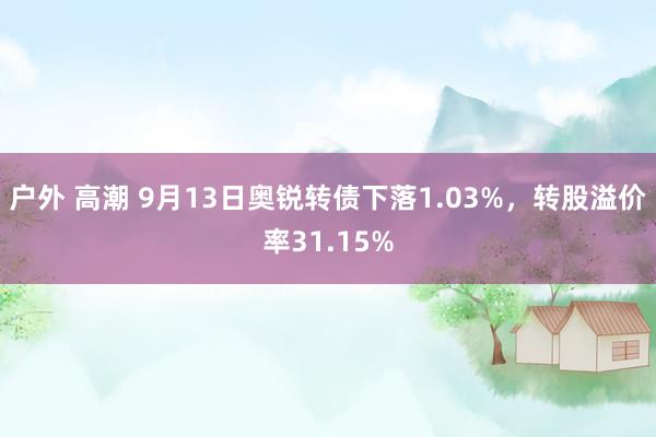 户外 高潮 9月13日奥锐转债下落1.03%,转股溢价率31.15%