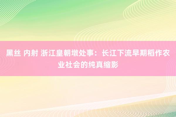 黑丝 内射 浙江皇朝墩处事:长江下流早期稻作农业社会的纯真缩影