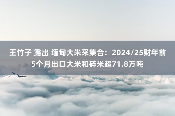王竹子 露出 缅甸大米采集合:2024/25财年前5个月出口大米和碎米超71.8万吨