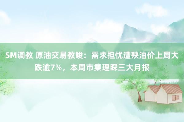 SM调教 原油交易教唆:需求担忧遭殃油价上周大跌逾7%,本周市集理睬三大月报