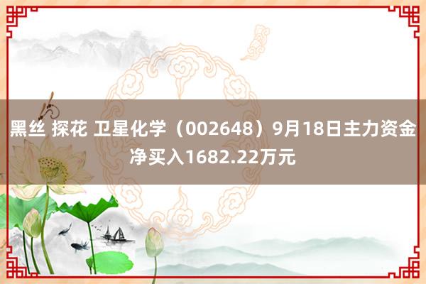 黑丝 探花 卫星化学(002648)9月18日主力资金净买入1682.22万元