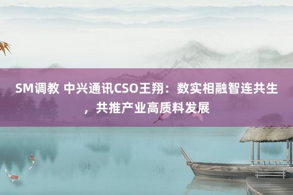 SM调教 中兴通讯CSO王翔:数实相融智连共生,共推产业高质料发展