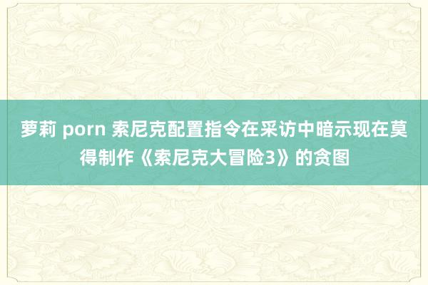 萝莉 porn 索尼克配置指令在采访中暗示现在莫得制作《索尼克大冒险3》的贪图