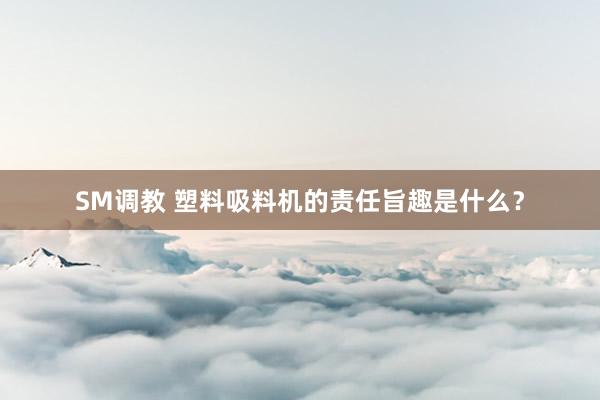 SM调教 塑料吸料机的责任旨趣是什么?