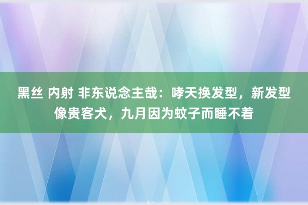 黑丝 内射 非东说念主哉:哮天换发型,新发型像贵客犬,九月因为蚊子而睡不着