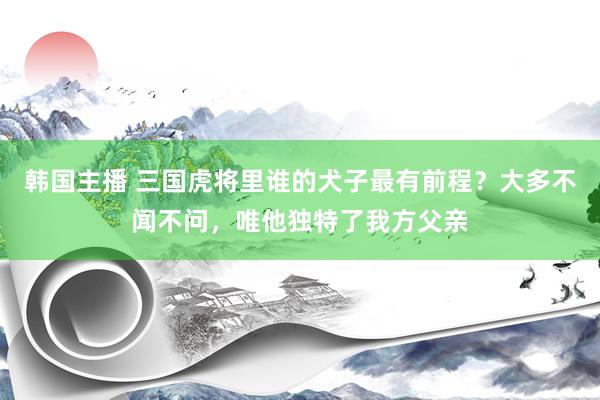 韩国主播 三国虎将里谁的犬子最有前程?大多不闻不问,唯他独特了我方父亲