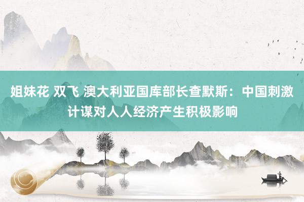 姐妹花 双飞 澳大利亚国库部长查默斯:中国刺激计谋对人人经济产生积极影响