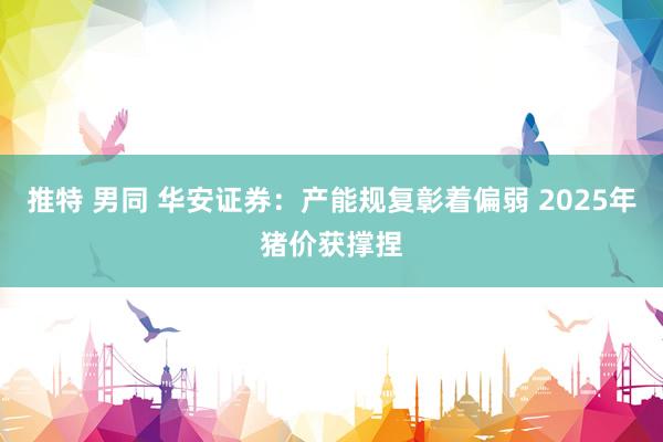 推特 男同 华安证券:产能规复彰着偏弱 2025年猪价获撑捏