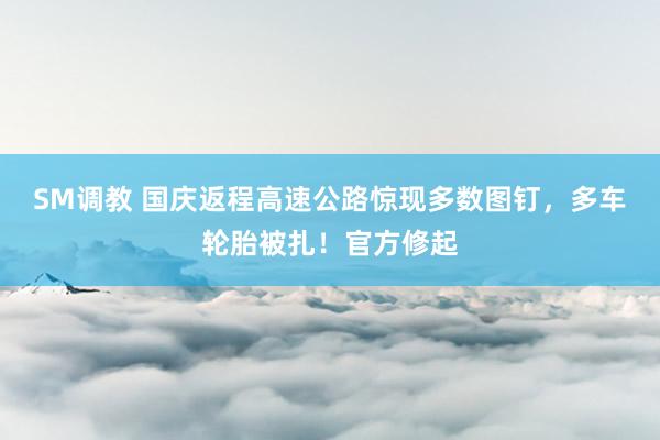 SM调教 国庆返程高速公路惊现多数图钉,多车轮胎被扎!官方修起