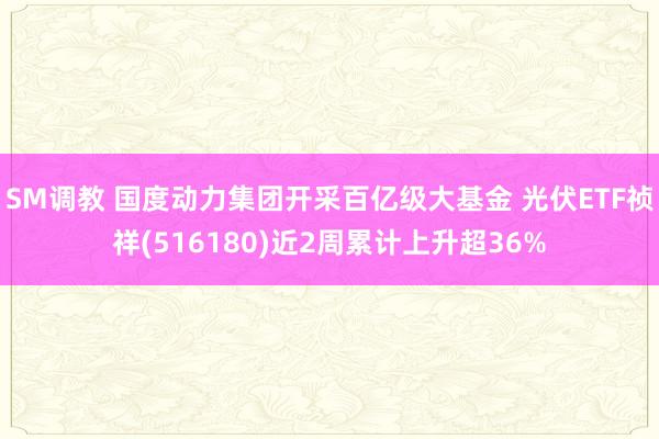 SM调教 国度动力集团开采百亿级大基金 光伏ETF祯祥(516180)近2周累计上升超36%