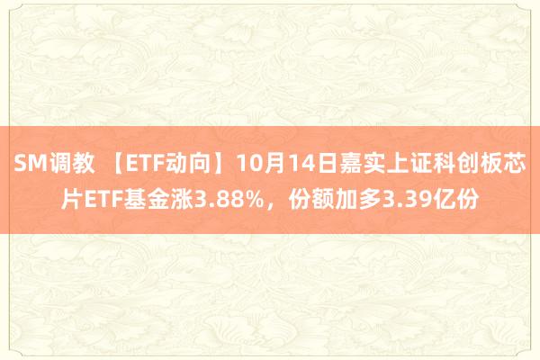 SM调教 【ETF动向】10月14日嘉实上证科创板芯片ETF基金涨3.88%,份额加多3.39亿份