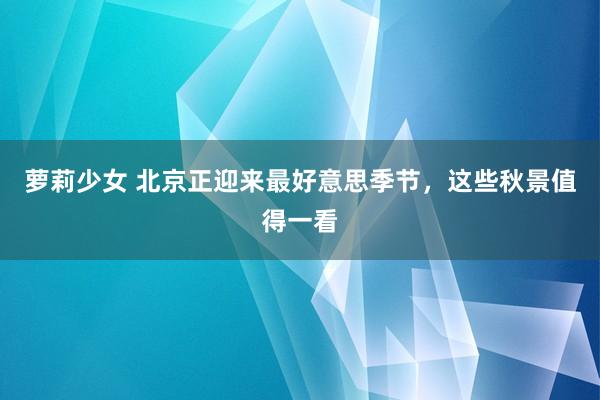 萝莉少女 北京正迎来最好意思季节,这些秋景值得一看