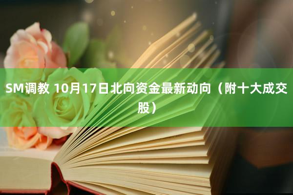 SM调教 10月17日北向资金最新动向(附十大成交股)