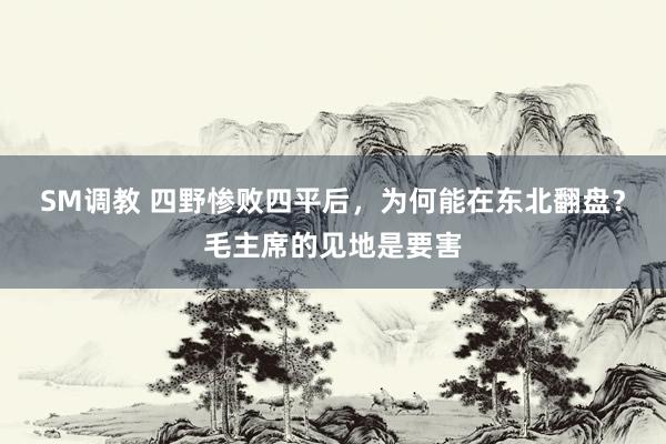 SM调教 四野惨败四平后,为何能在东北翻盘?毛主席的见地是要害