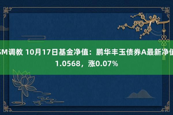 SM调教 10月17日基金净值:鹏华丰玉债券A最新净值1.0568,涨0.07%