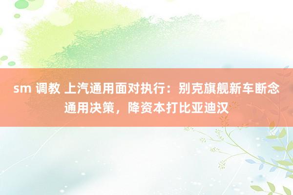 sm 调教 上汽通用面对执行:别克旗舰新车断念通用决策,降资本打比亚迪汉