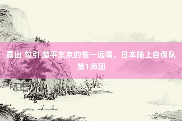 露出 勾引 踏平东京的惟一远隔,日本陆上自保队第1师团