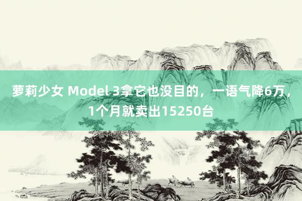 萝莉少女 Model 3拿它也没目的,一语气降6万,1个月就卖出15250台
