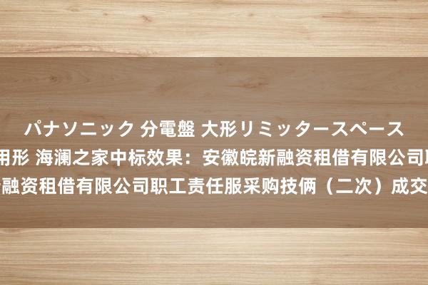 パナソニック 分電盤 大形リミッタースペースなし 露出・半埋込両用形 海澜之家中标效果:安徽皖新融资租借有限公司职工责任服采购技俩(二次)成交效果公告