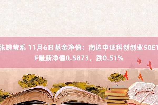 张婉莹系 11月6日基金净值:南边中证科创创业50ETF最新净值0.5873,跌0.51%