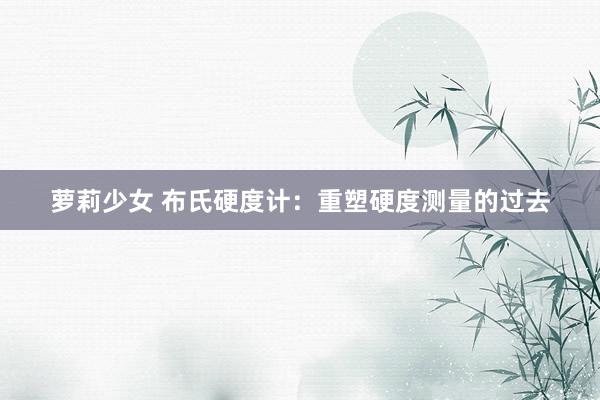 萝莉少女 布氏硬度计:重塑硬度测量的过去