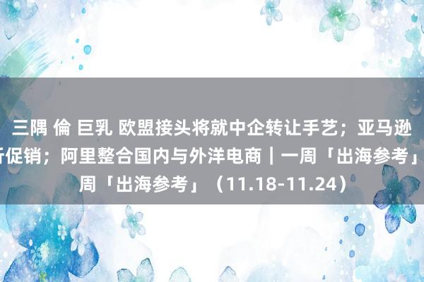 三隅 倫 巨乳 欧盟接头将就中企转让手艺;亚马逊廉价商城推出五折促销;阿里整合国内与外洋电商|一周「出海参考」(11.18-11.24)