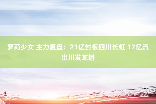 萝莉少女 主力复盘:21亿封板四川长虹 12亿流出川发龙蟒