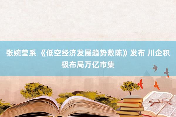 张婉莹系 《低空经济发展趋势敷陈》发布 川企积极布局万亿市集