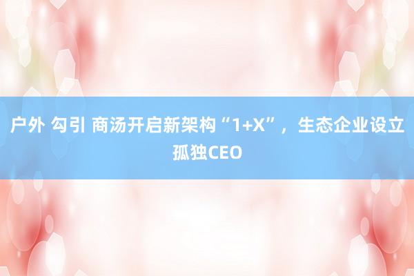 户外 勾引 商汤开启新架构“1+X”,生态企业设立孤独CEO