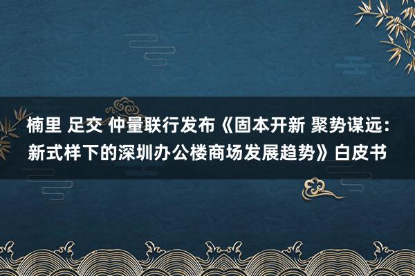 楠里 足交 仲量联行发布《固本开新 聚势谋远:新式样下的深圳办公楼商场发展趋势》白皮书