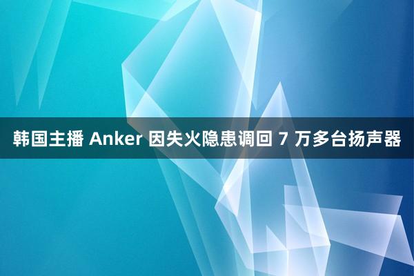 韩国主播 Anker 因失火隐患调回 7 万多台扬声器