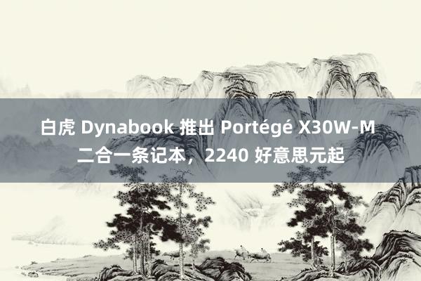 白虎 Dynabook 推出 Portégé X30W-M 二合一条记本,2240 好意思元起