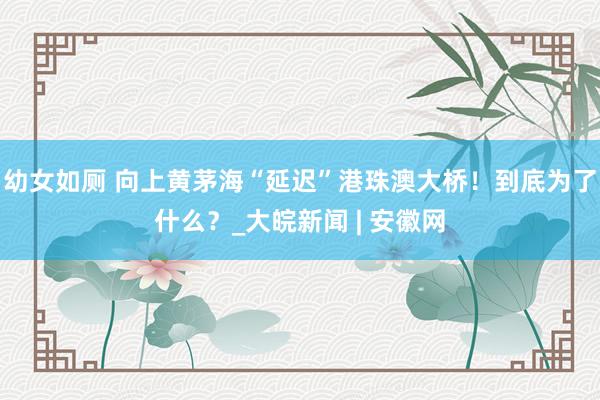 幼女如厕 向上黄茅海“延迟”港珠澳大桥!到底为了什么?_大皖新闻 | 安徽网