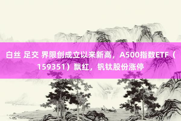 白丝 足交 界限创成立以来新高,A500指数ETF(159351)飘红,钒钛股份涨停