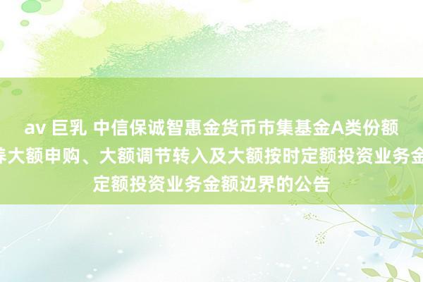av 巨乳 中信保诚智惠金货币市集基金A类份额、C类份额颐养大额申购、大额调节转入及大额按时定额投资业务金额边界的公告