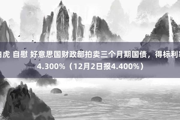 白虎 自慰 好意思国财政部拍卖三个月期国债,得标利率4.300%(12月2日报4.400%)