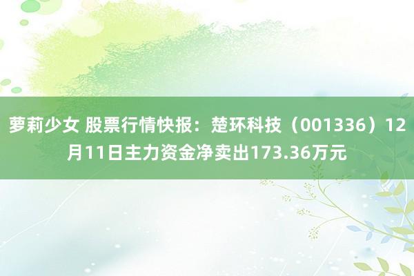 萝莉少女 股票行情快报:楚环科技(001336)12月11日主力资金净卖出173.36万元