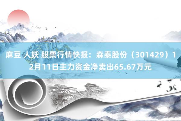 麻豆 人妖 股票行情快报:森泰股份(301429)12月11日主力资金净卖出65.67万元
