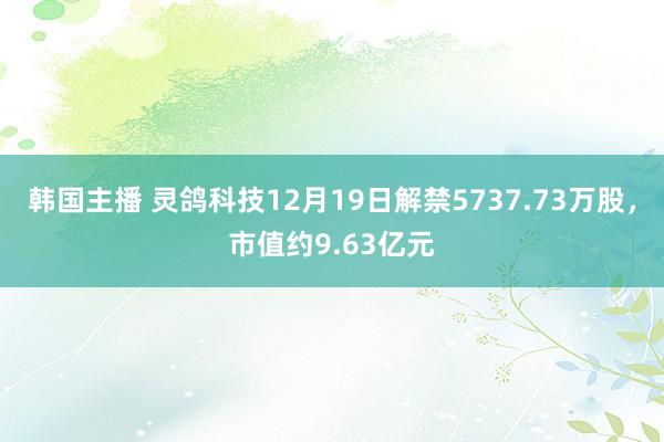 韩国主播 灵鸽科技12月19日解禁5737.73万股,市值约9.63亿元