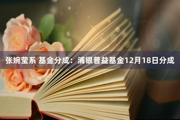 张婉莹系 基金分成:浦银普益基金12月18日分成
