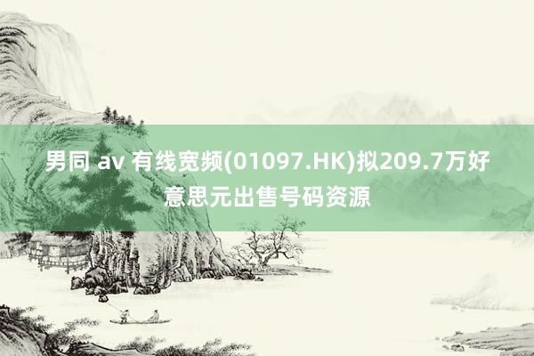 男同 av 有线宽频(01097.HK)拟209.7万好意思元出售号码资源