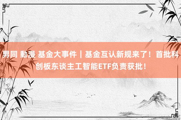男同 動漫 基金大事件|基金互认新规来了!首批科创板东谈主工智能ETF负责获批!