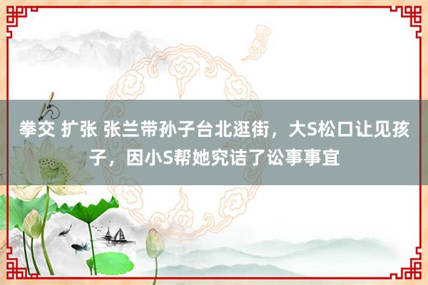 拳交 扩张 张兰带孙子台北逛街,大S松口让见孩子,因小S帮她究诘了讼事事宜