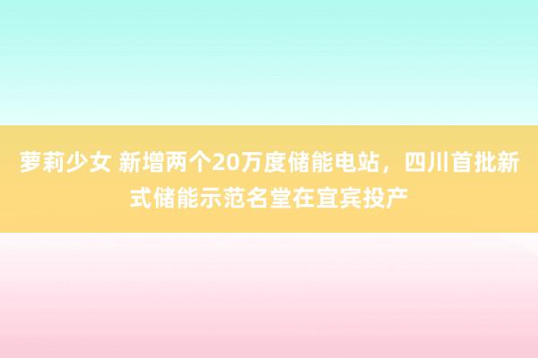 萝莉少女 新增两个20万度储能电站,四川首批新式储能示范名堂在宜宾投产