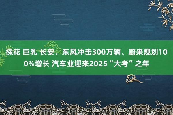 探花 巨乳 长安、东风冲击300万辆、蔚来规划100%增长 汽车业迎来2025“大考”之年