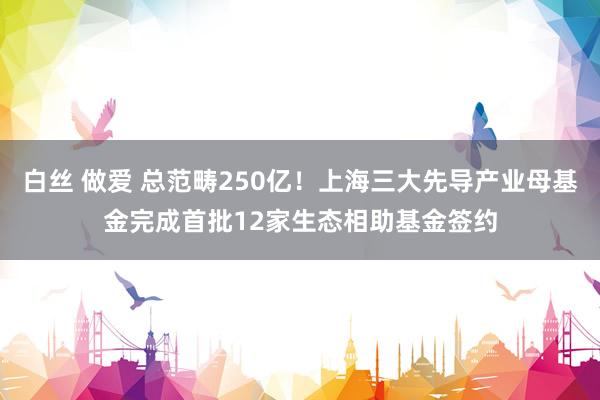 白丝 做爱 总范畴250亿!上海三大先导产业母基金完成首批12家生态相助基金签约