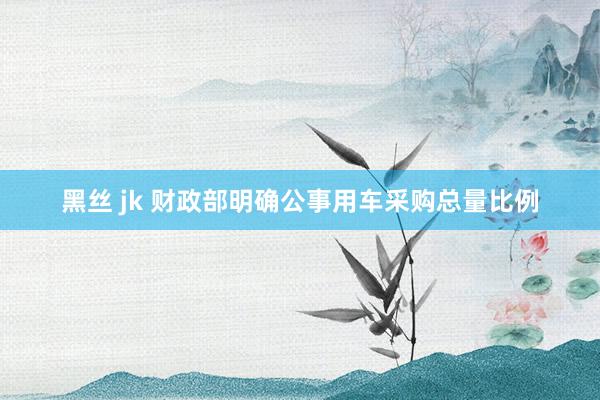 黑丝 jk 财政部明确公事用车采购总量比例
