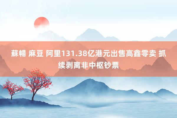 蘇暢 麻豆 阿里131.38亿港元出售高鑫零卖 抓续剥离非中枢钞票