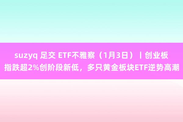 suzyq 足交 ETF不雅察（1月3日）丨创业板指跌超2%创阶段新低，多只黄金板块ETF逆势高潮
